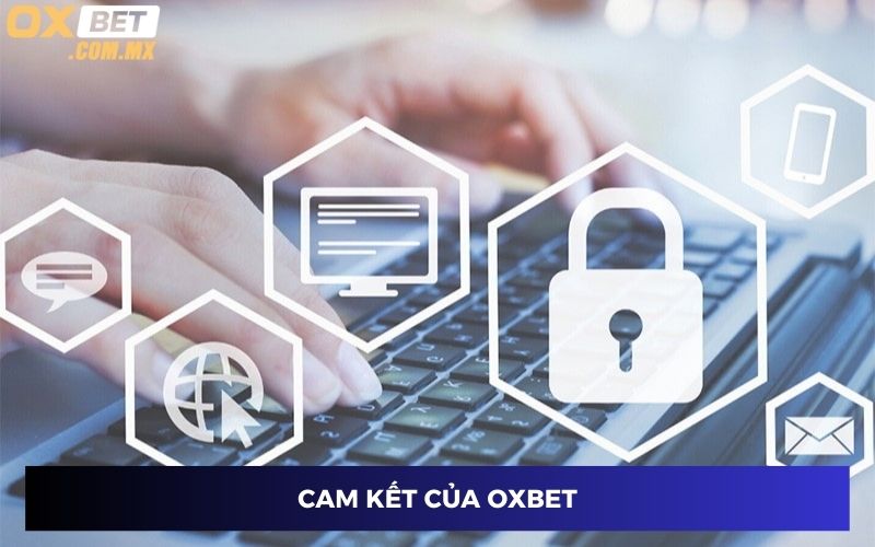 Những cam kết của Oxbet
